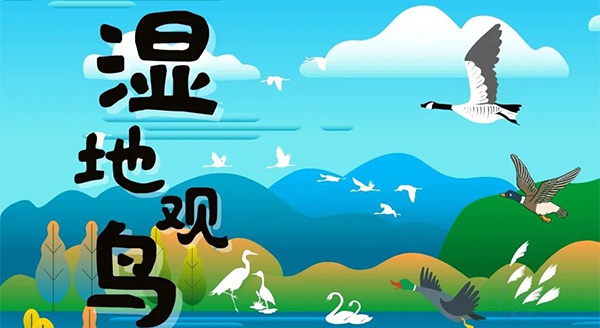 【獨立觀鳥一日營】走進白馬湖濕地，一起來探尋鳥兒的秘密